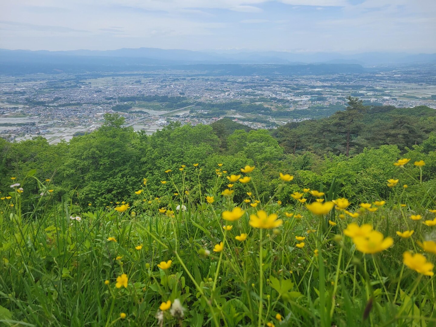 平尾山のんびり歩き / AOBAさんの平尾富士（平尾山）・閼伽流山の活動データ YAMAP / ヤマップ