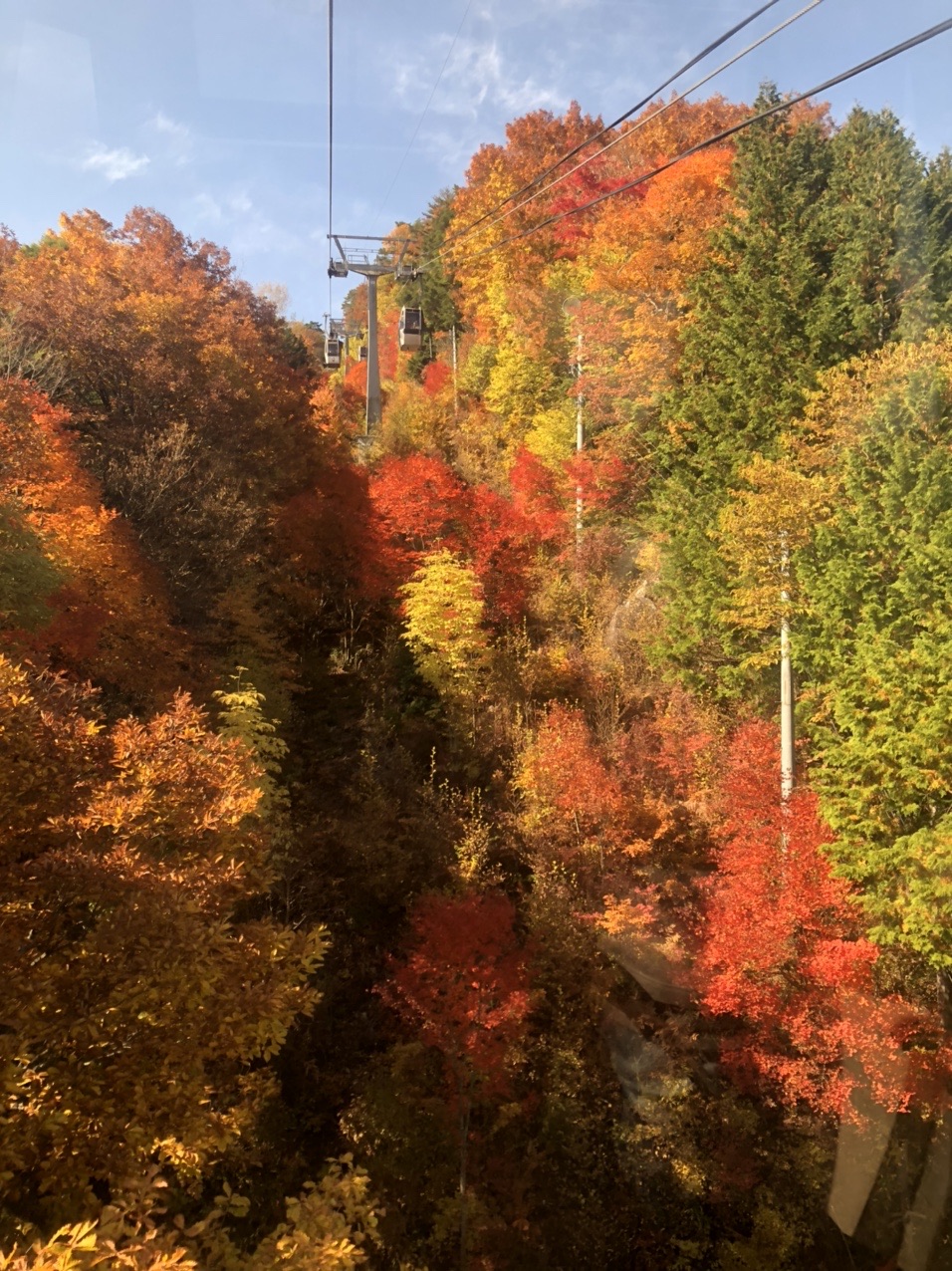 柴犬隊長 紅葉のヘブンスそのはらへ行く ひるねもぐもぐさんのハイキングの活動データ Yamap ヤマップ