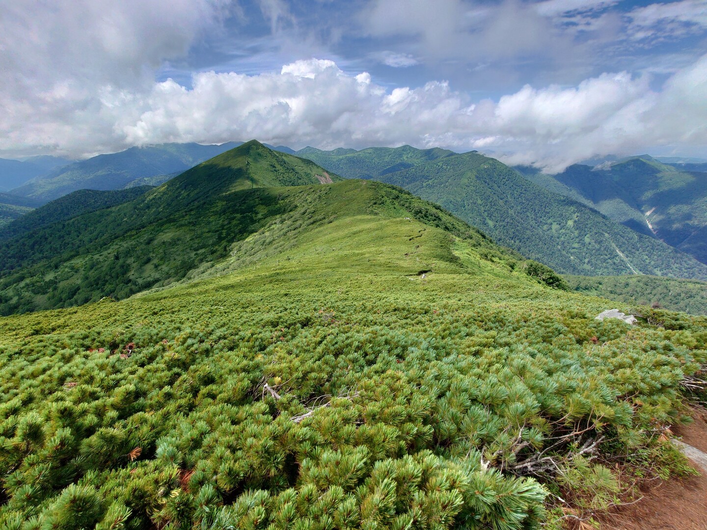 芽室岳・パンケヌーシ岳 / アイゼンハワーさんの芽室岳・久山岳・剣山の活動データ YAMAP / ヤマップ