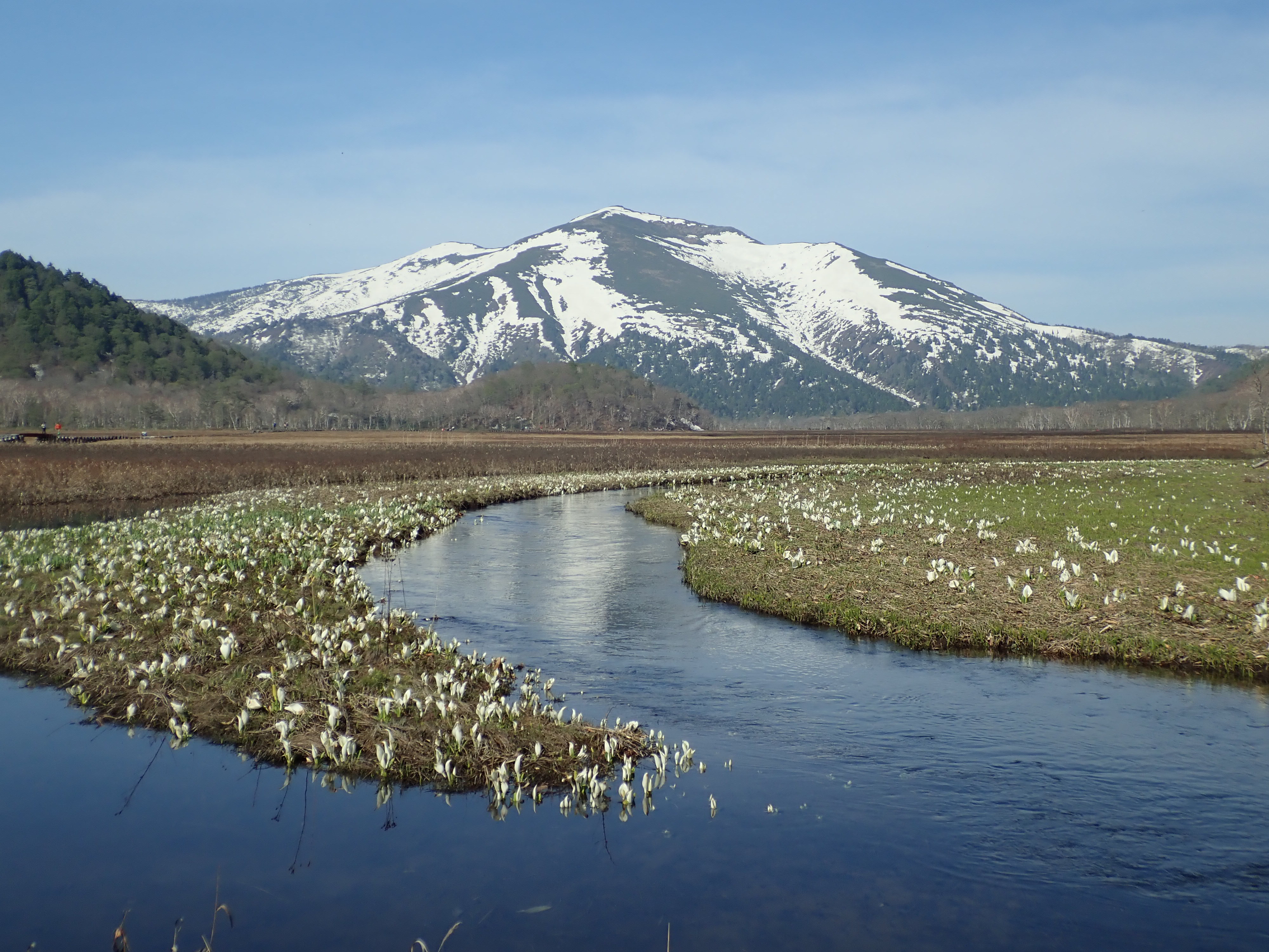 雪解けの尾瀬ヶ原を歩く 時偶山歩さんの尾瀬 燧ヶ岳の活動日記 Yamap ヤマップ