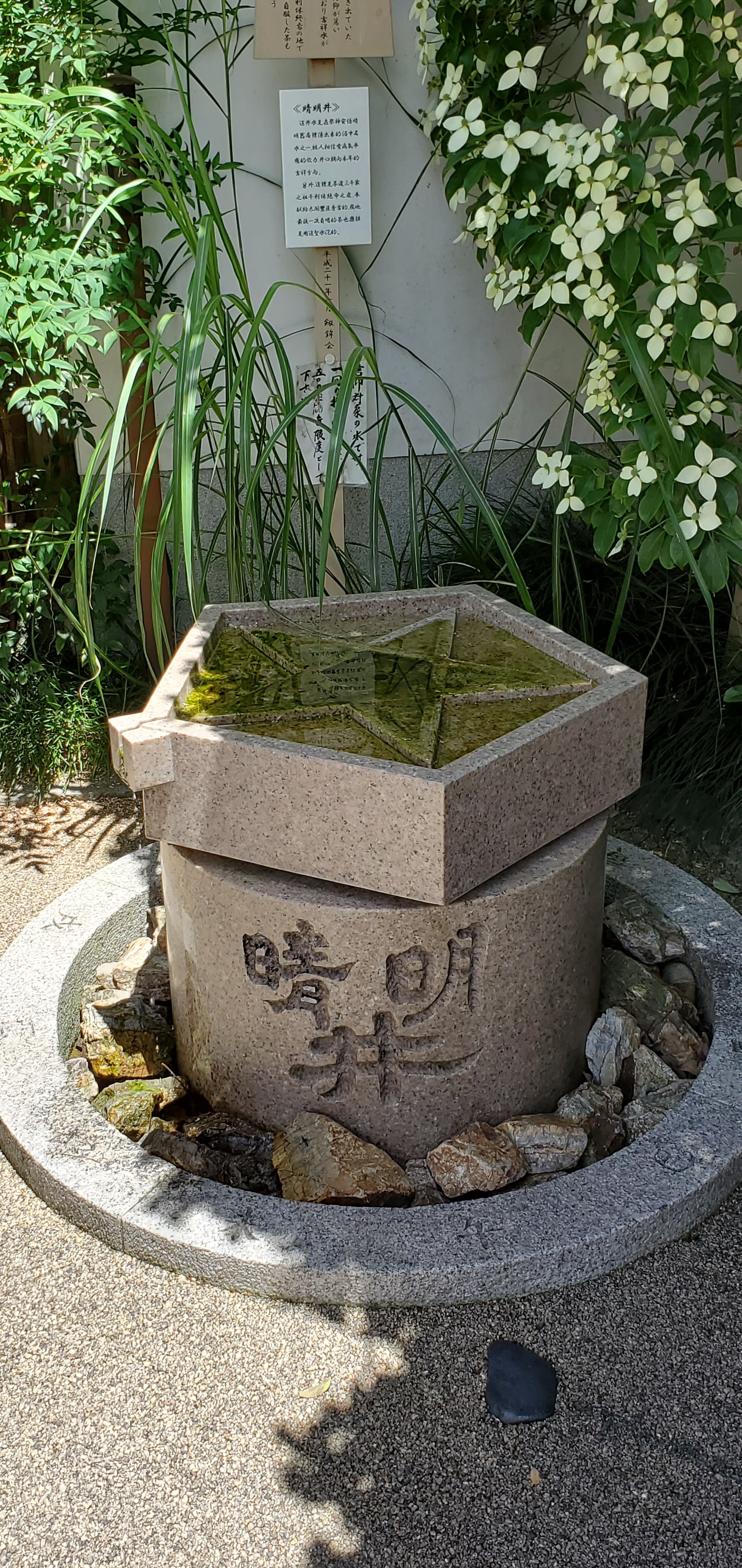 晴明神社から石清水八幡宮 Susan1959さんの枚方市の活動日記 Yamap ヤマップ