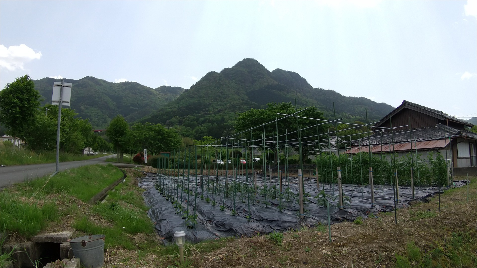 丹波 三尾山城と金山城 たかひでさんさんの御嶽 三嶽 小金ヶ嶽 西ヶ嶽の活動日記 Yamap ヤマップ