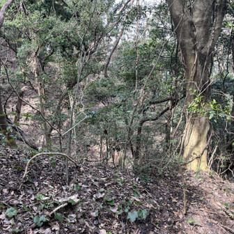 飯塚市 人造の山とは思えない…。