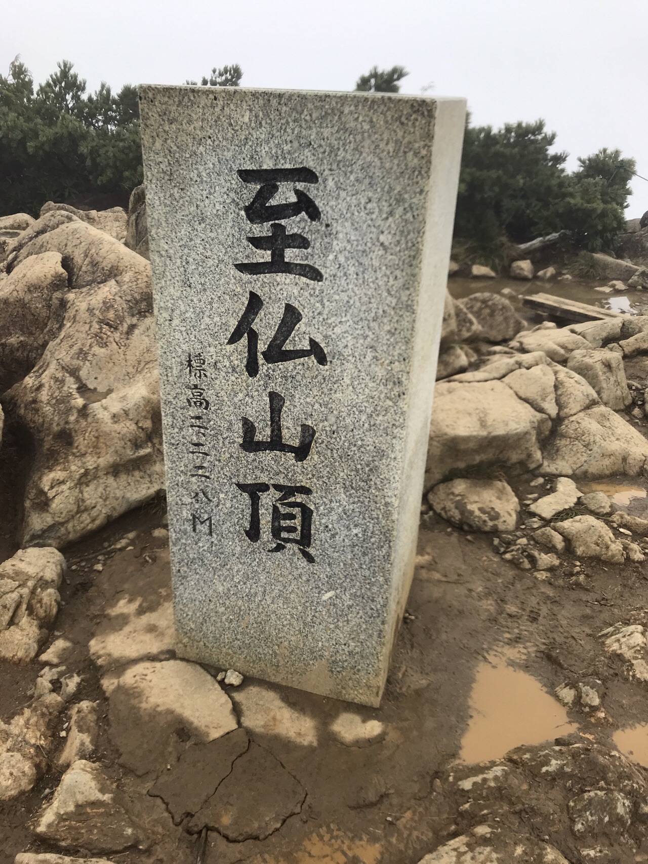 霧で何も見えなかった至仏山 本山葵さんの至仏山 悪沢岳 笠ヶ岳の活動データ Yamap ヤマップ