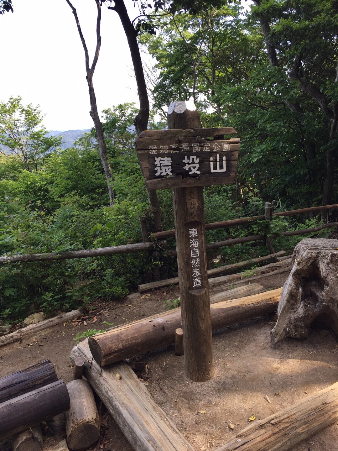 猿投山 物見山 19 06 01 カミカズさんの猿投山 物見山の活動日記 Yamap ヤマップ