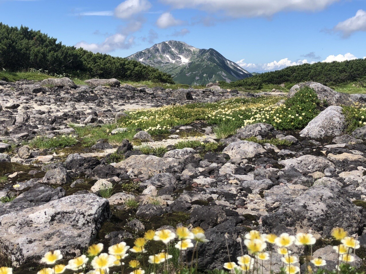 人影も疎らな地上の楽園 憧れの黒部五郎〜雲の平周回 / かわのさんさんの水晶岳・薬師岳・黒部五郎岳の活動データ | YAMAP / ヤマップ