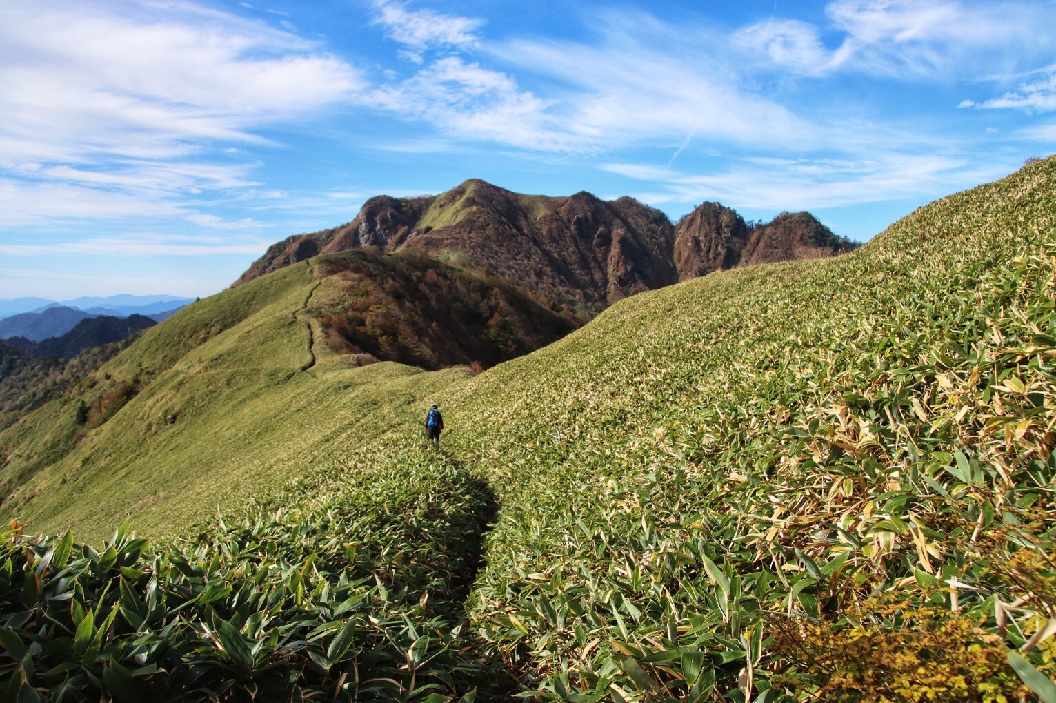 9c763ab09eb147d09c517bed623723