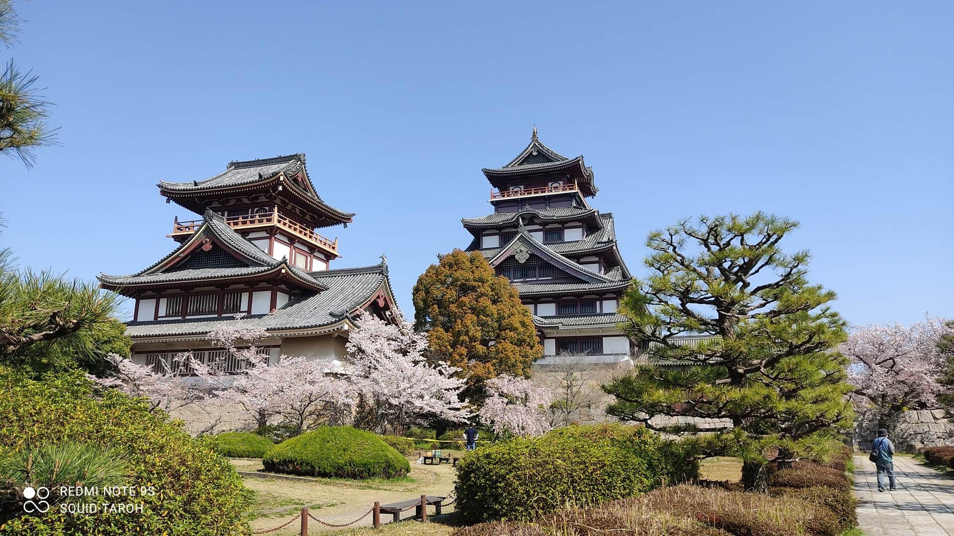 大岩山・今熊野山京都一周トレイル東山コース / 烏賊墨太郎さんの京都市の活動データ YAMAP / ヤマップ