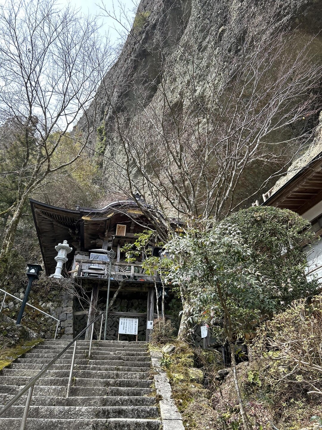 四国遍路岩屋寺からの岩屋山 / た まさんの皿ヶ嶺・梅ヶ谷山・うなめごの活動データ YAMAP / ヤマップ