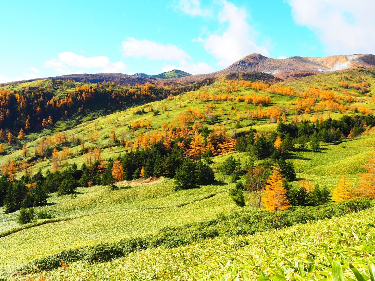 草津白根山に抱かれた芳ヶ平へ Masayoさんの草津白根山 湯釜の活動データ Yamap ヤマップ