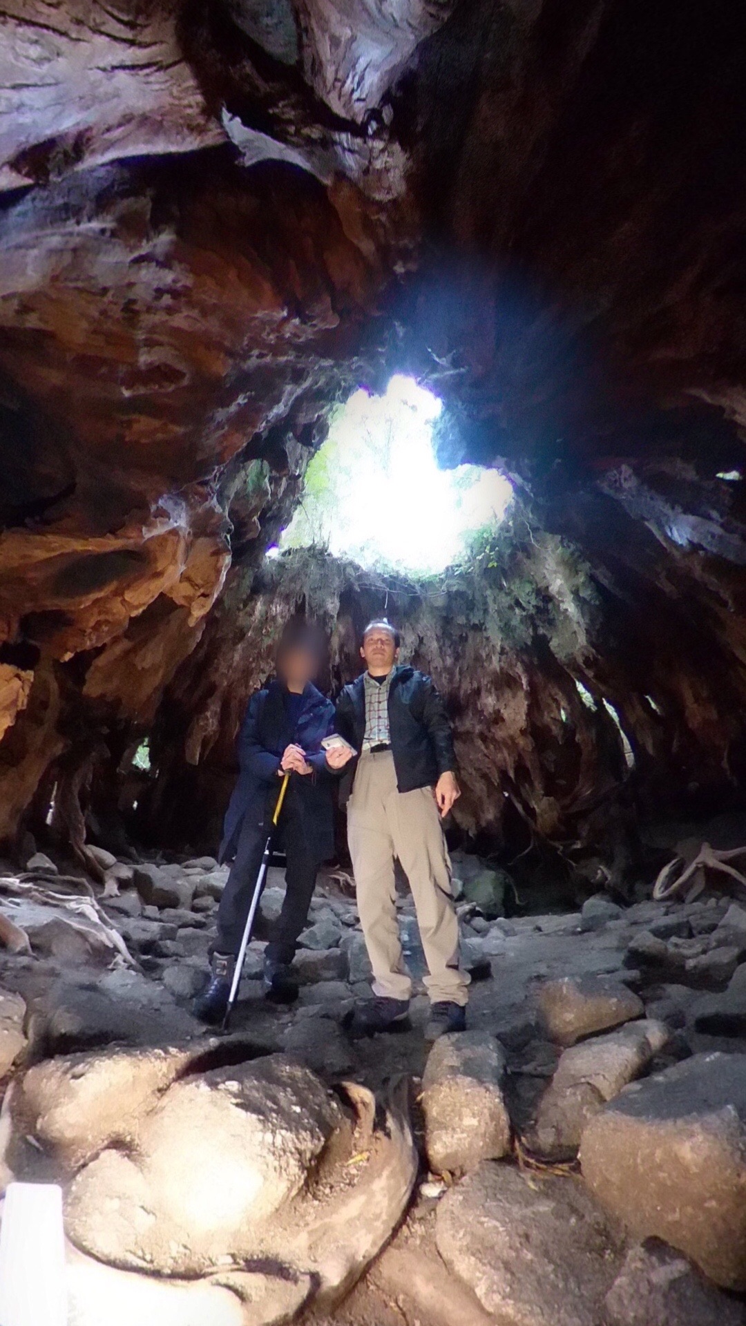 屋久島 白谷雲水峡 太鼓岩 ウィルソン株 荒川登山口 たっくんさんの屋久島 宮之浦岳の活動データ Yamap ヤマップ