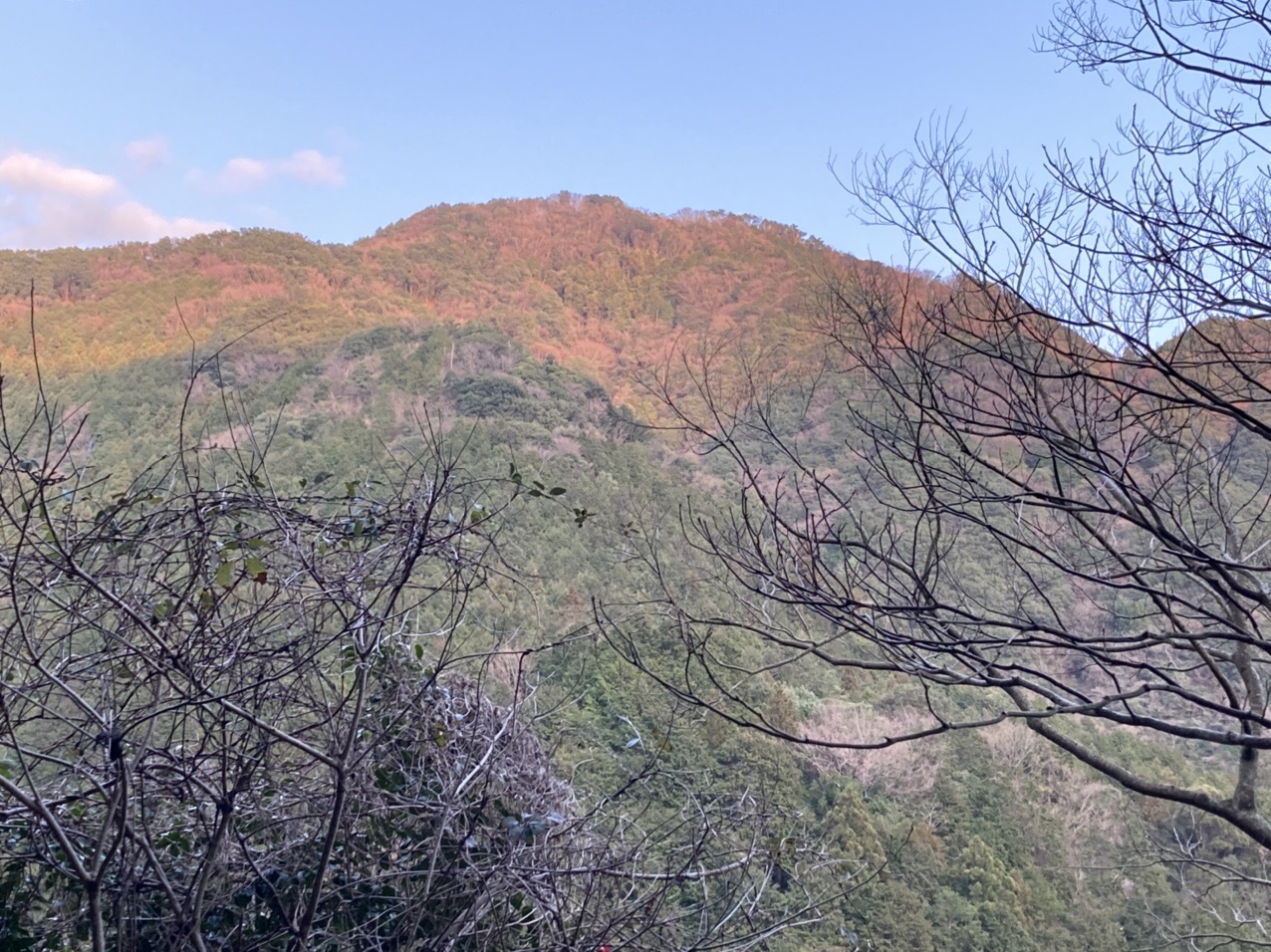 和泉山脈縦走 山中渓ー犬鳴山 四石山 昭和山 ボンデン山 城ヶ峰 三峯山 おっき さんの紀泉アルプス 飯盛山 ボンデン山の活動データ Yamap ヤマップ