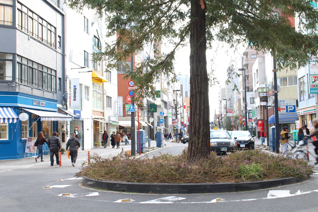 たなけだ聖地巡礼 広島市 広島市の写真49枚目 村下孝蔵が喫茶店を開いていた時期もある Yamap ヤマップ