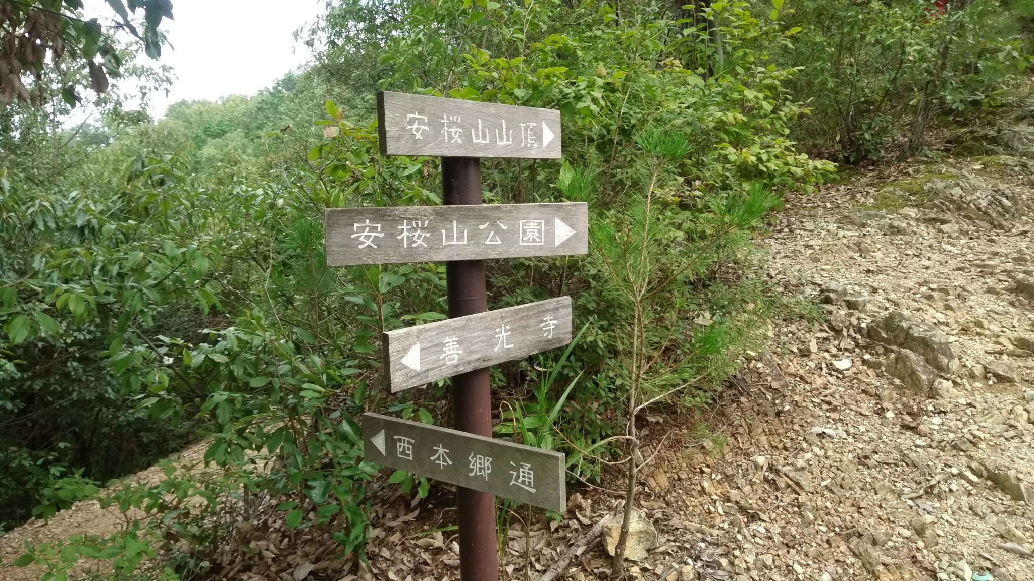 安桜山 19 09 01 ｓ山ちゃんさんの山王山 まるまる山 松尾山の活動日記 Yamap ヤマップ