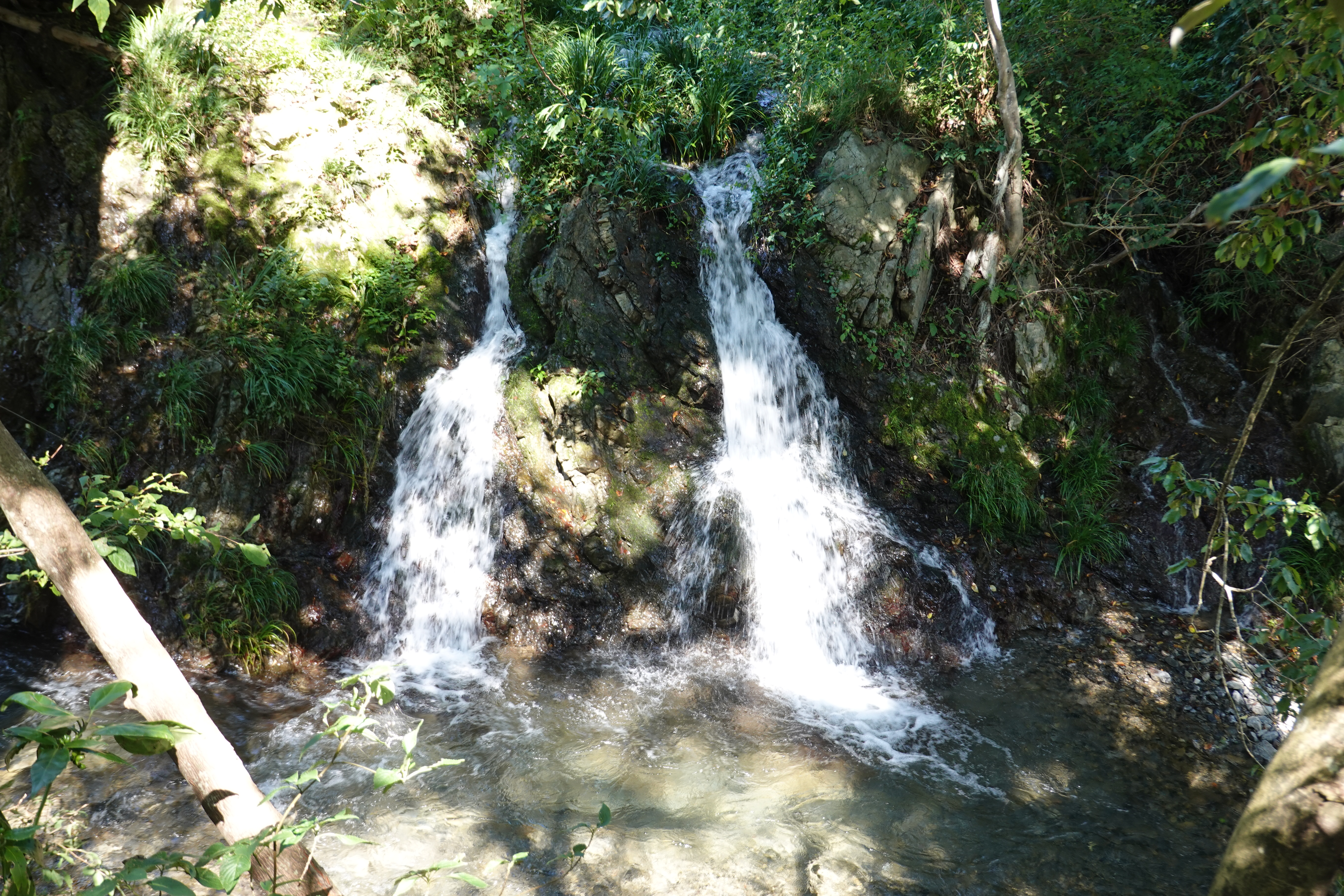 高尾山 高尾梅郷遊歩道 蛇滝 2 4号路 6号路 きままにゆるりと過ごし中さんの高尾山 陣馬山 景信山の活動データ Yamap ヤマップ