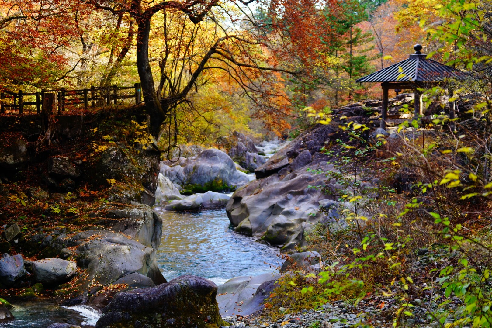 ウォーキング（憾満ヶ淵） / Jokoさんのウォーキングの活動データ YAMAP / ヤマップ