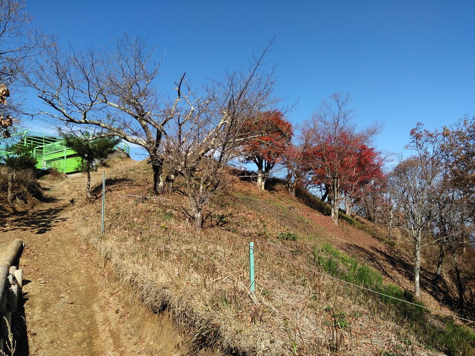 一ノ尾尾根から陣馬山 高尾山 陣馬山 景信山の写真13枚目 新ハイキングコースからくるとこの景色 Yamap ヤマップ