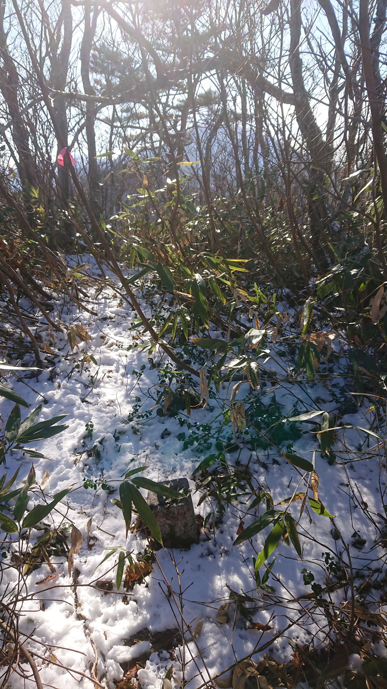 木六山・銀次郎山 神戸山山頂 奥白山