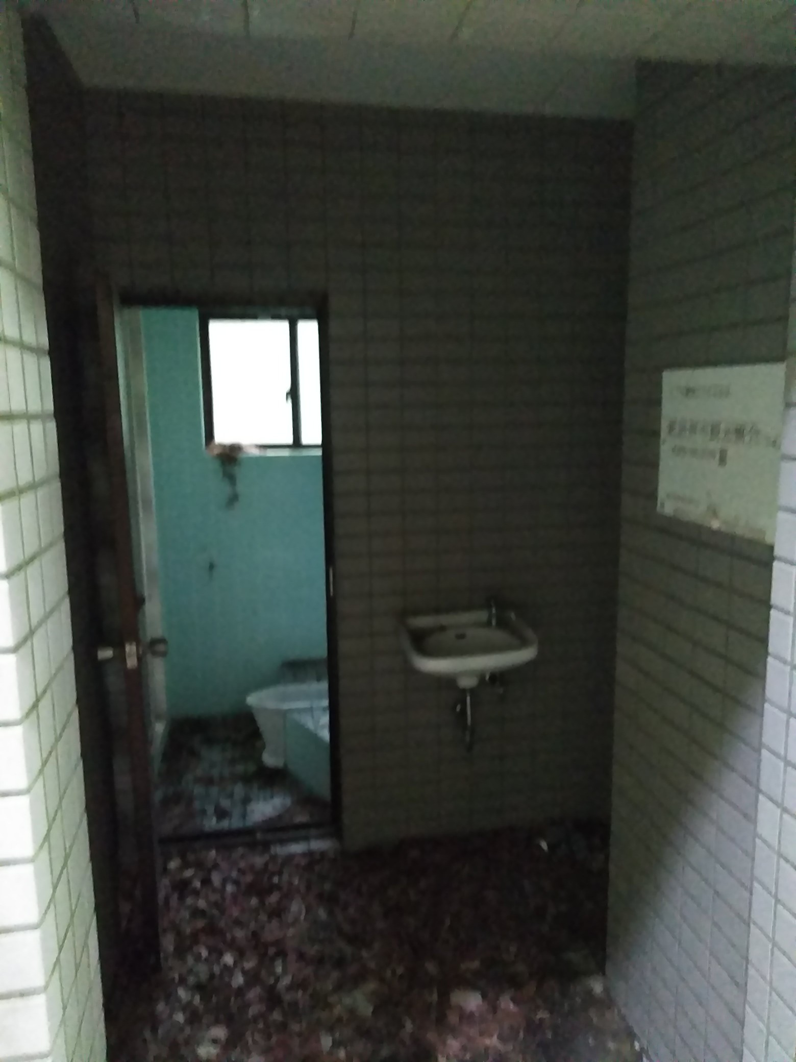 別子ライン清滝 07 05 Buratamoriさんの笹ヶ峰 寒風山 平家平の活動日記 Yamap ヤマップ