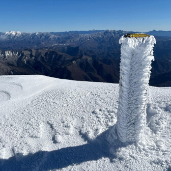 着いた　トマの耳　かな