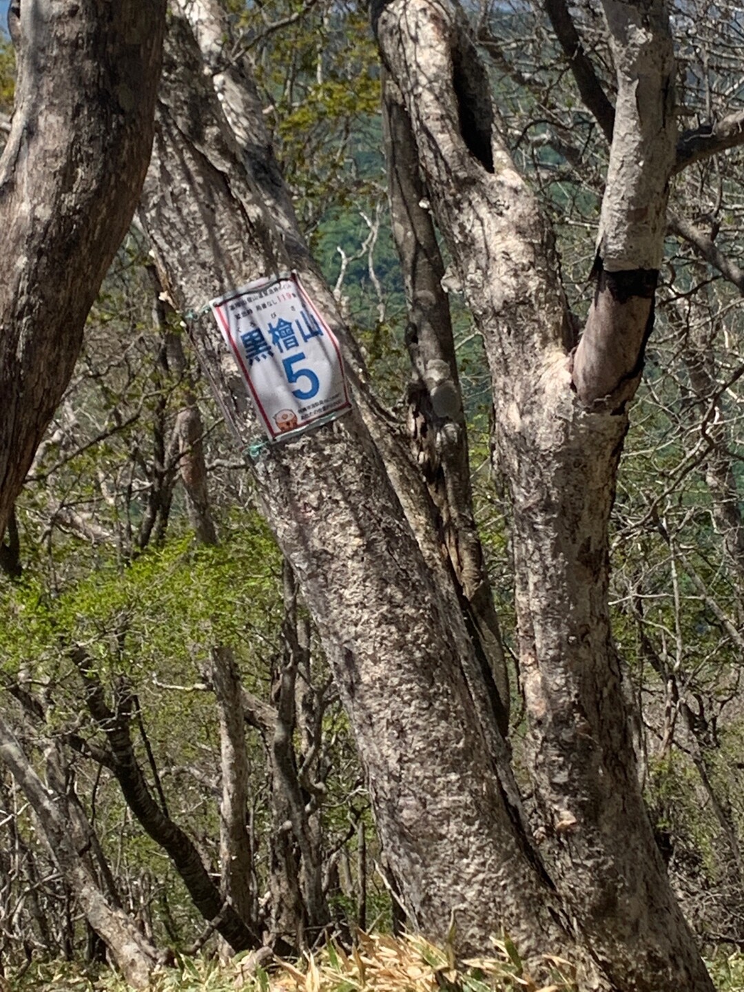 Delhi Belly デリベリさんの投稿したフィールドメモ YAMAP / ヤマップ