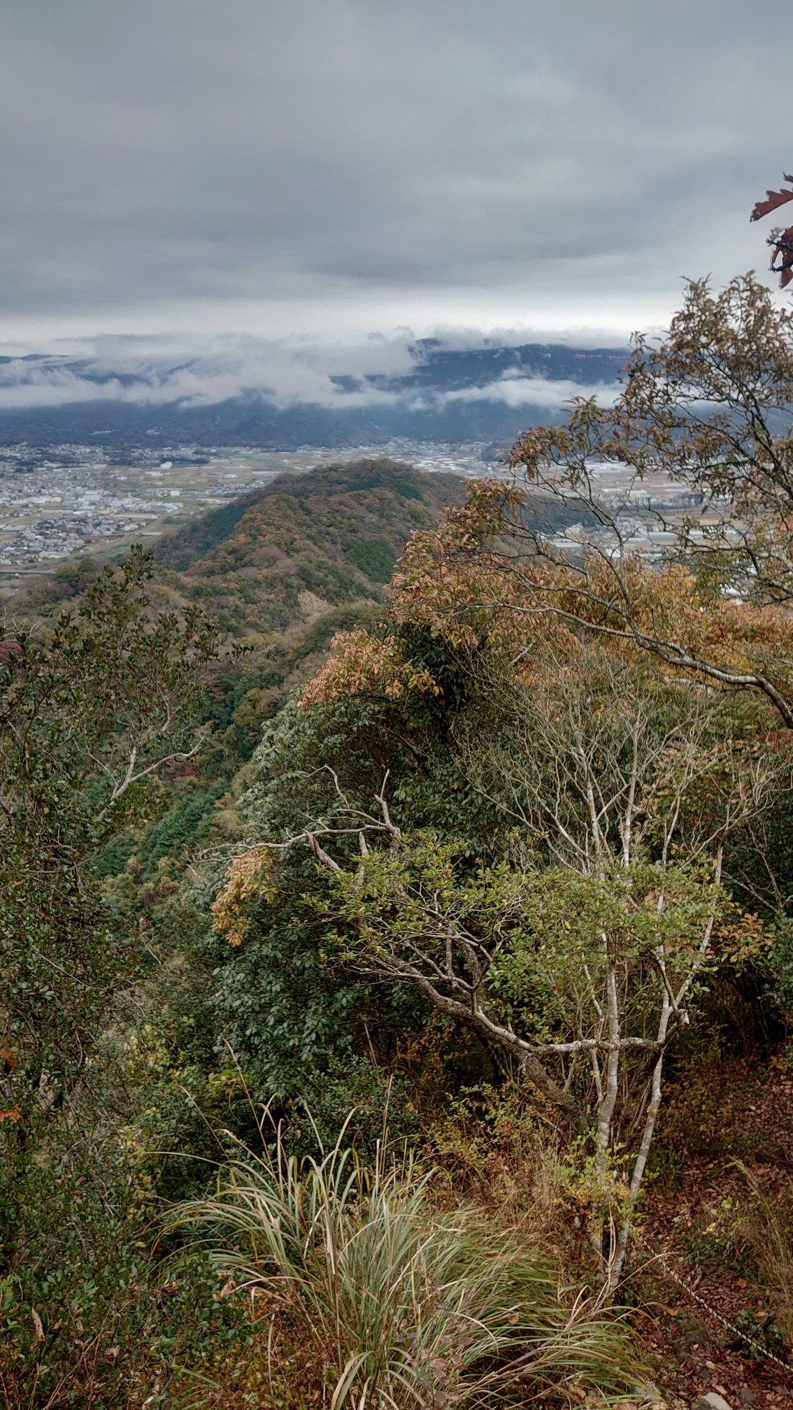 リベンジ登山の沼津アルプス 奥アルプスも制覇 みず64さんの沼津アルプス 鷲頭山 香貫山の活動データ Yamap ヤマップ