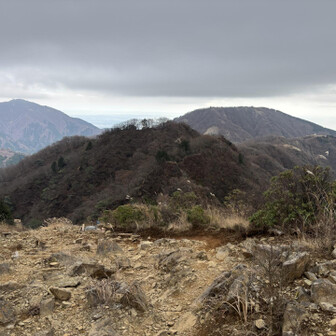 政次郎の頭より
