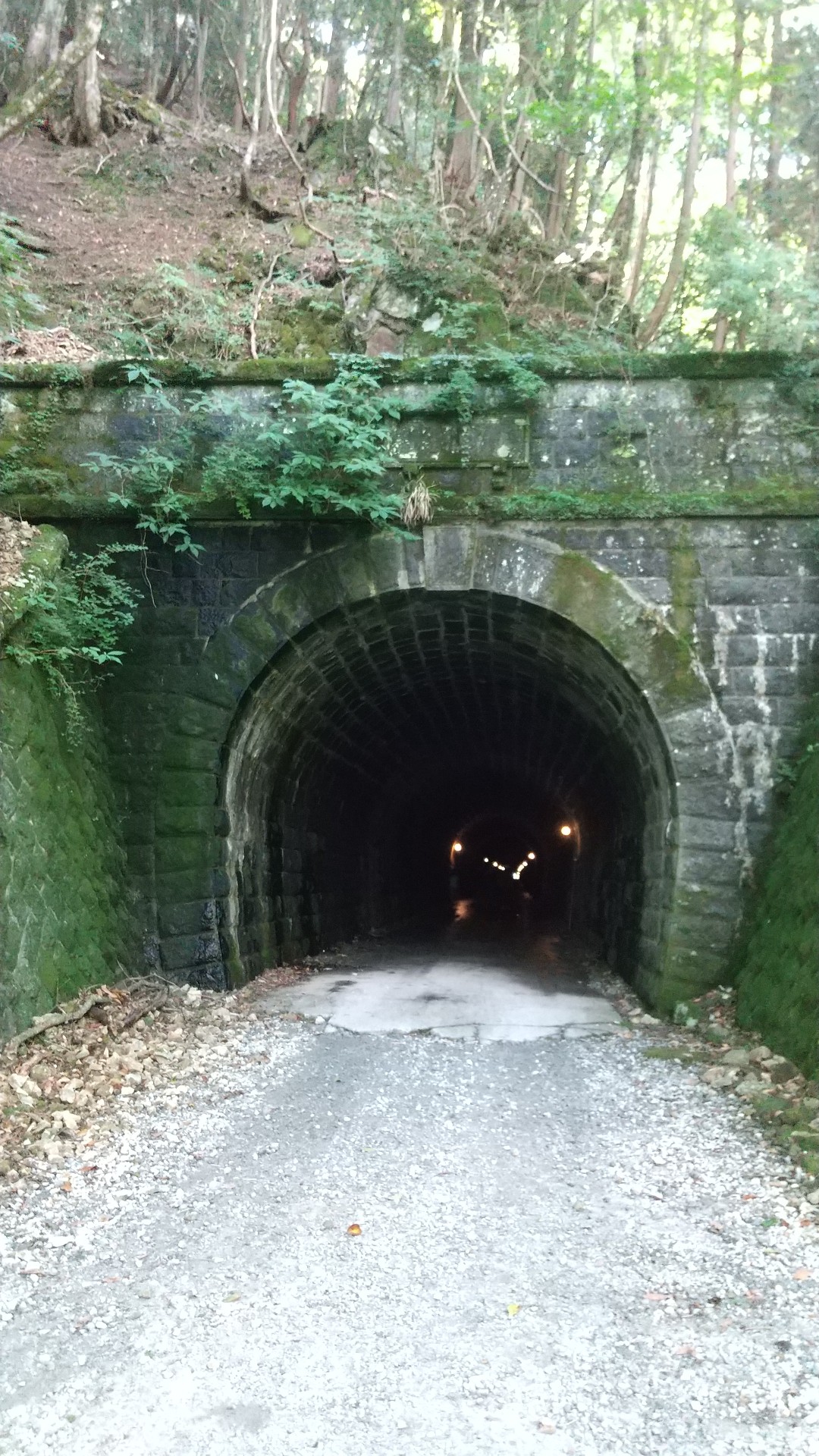 天城越は最終 乗り遅れ 天城峠 万三郎岳 天城山 万二郎岳 天城山 Moriさんの天城山 鉢ノ山 三筋山の活動日記 Yamap ヤマップ