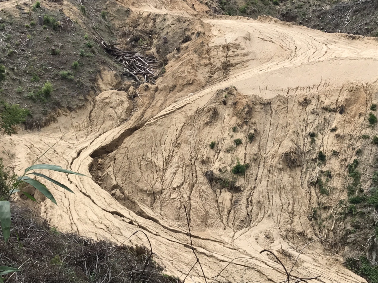 生駒山・神津嶽・大原山 雨水が流れた跡。
これからどうなっていくのか...。