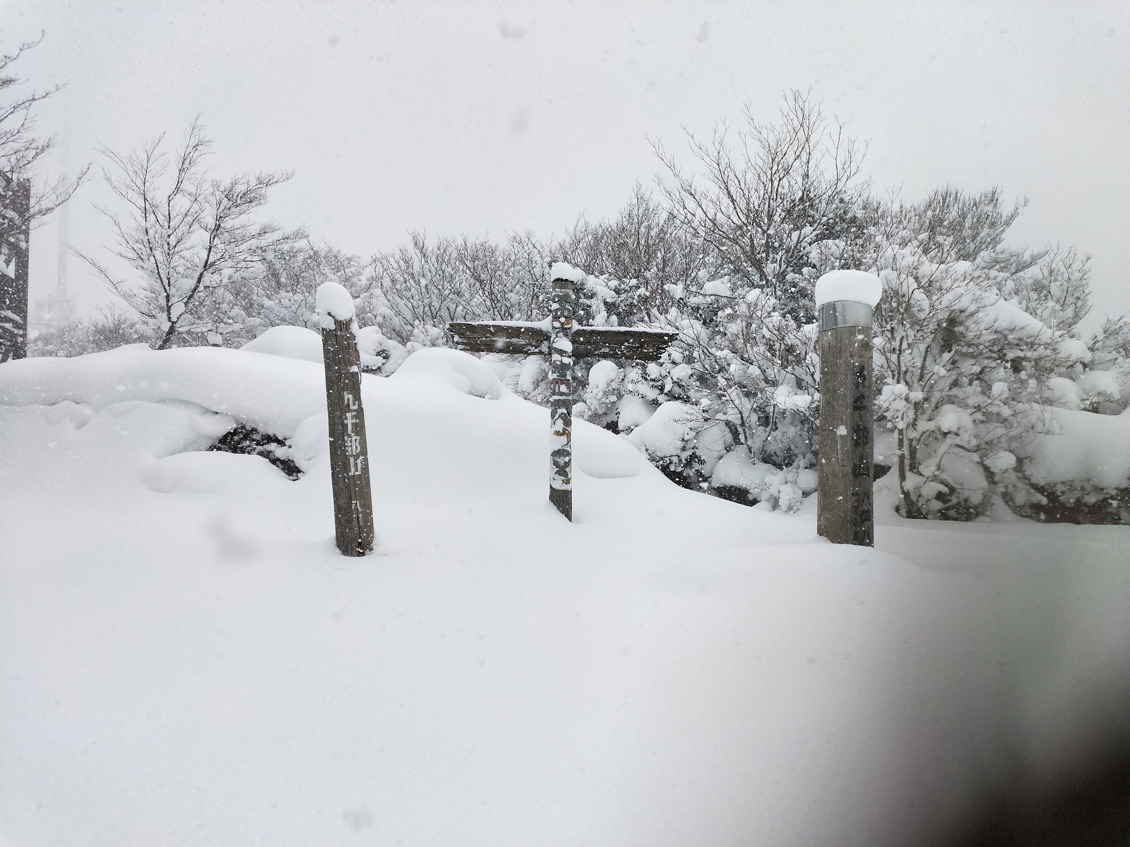 原田 基山 九千部山 石谷山 御手洗の滝 雲野尾峠 新鳥栖 やまきゃんぱーさんの九千部山 石谷山の活動データ Yamap ヤマップ