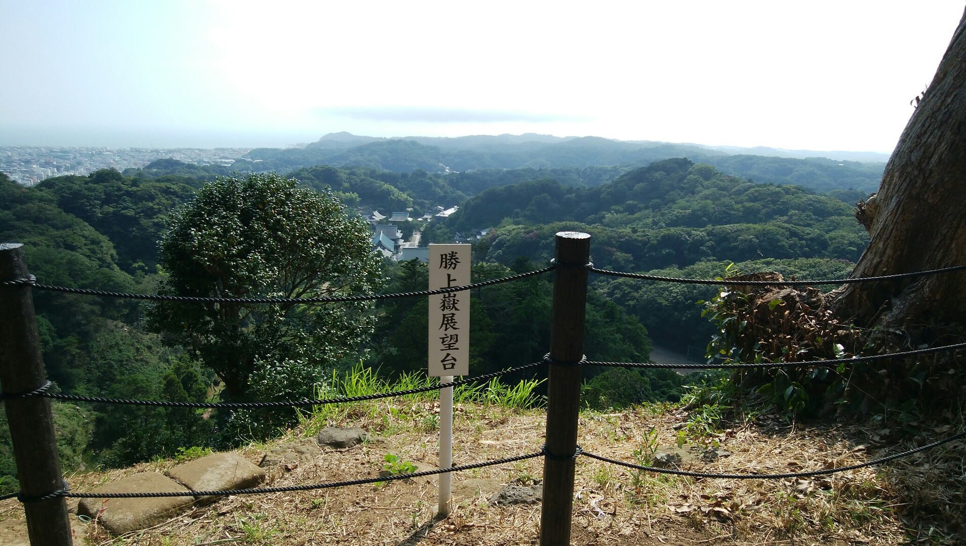 天園ハイキングコース 明月院口から瑞泉寺口 19 07 31 Sharaさんの鎌倉アルプス 大平山 天台山 の活動データ Yamap ヤマップ