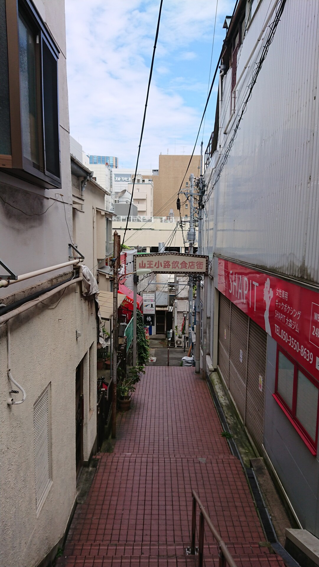 三次元ラビリンス彷徨 荏原台の端っこを歩く 東京都23区 南エリアの写真16枚目 大森駅の山王小路飲食街 地獄谷 今 Yamap ヤマップ