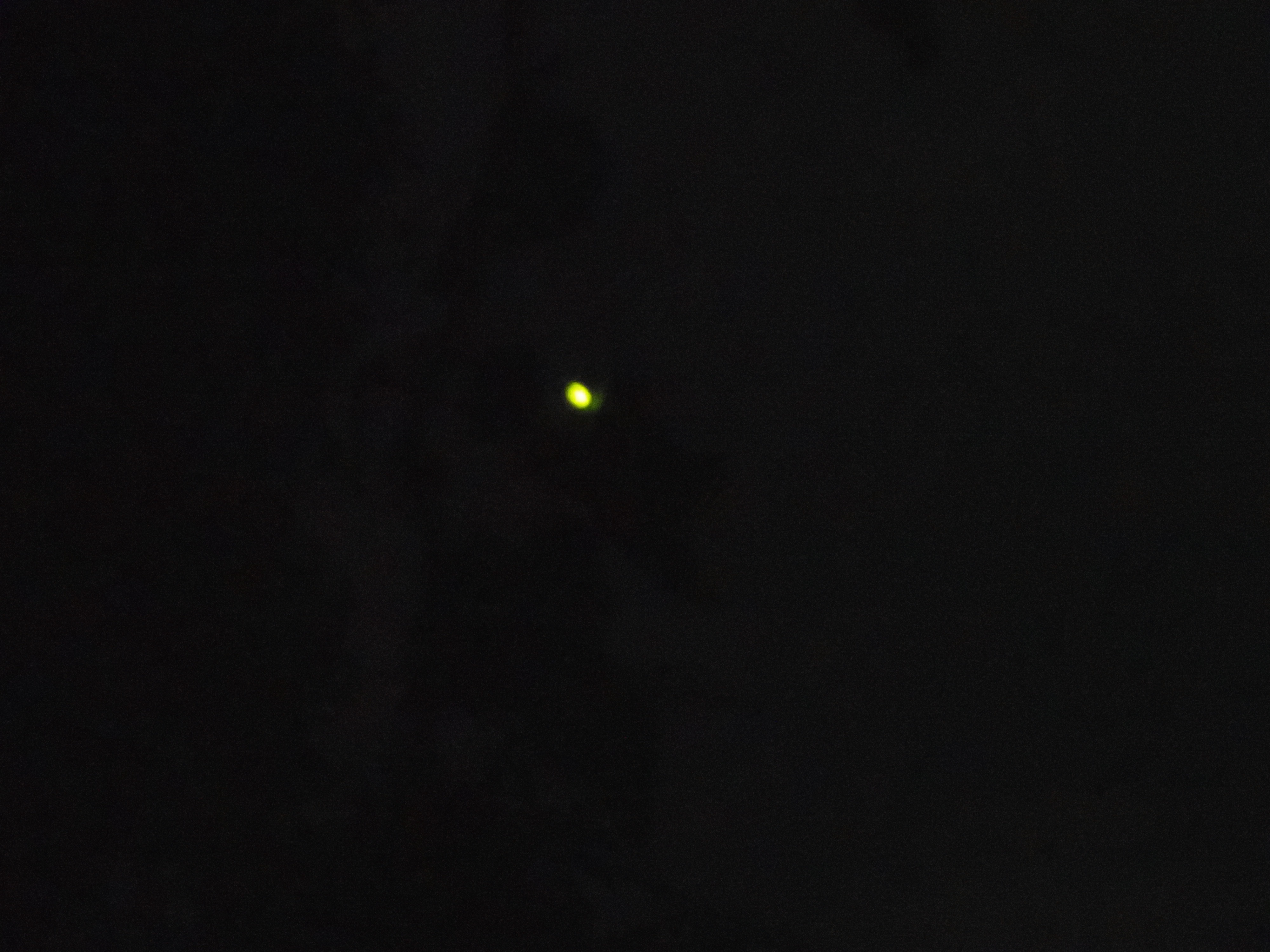 高尾山ナイトハイク ホタル観賞 ぎるさんの高尾山 陣馬山 景信山の活動データ Yamap ヤマップ