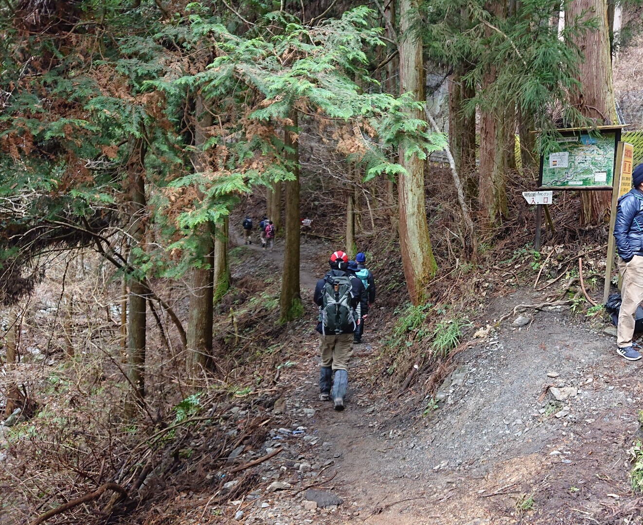 陣馬山 01 25 高尾山 陣馬山 景信山の写真5枚目 新ハイキングコースと和田峠の分岐 Yamap ヤマップ