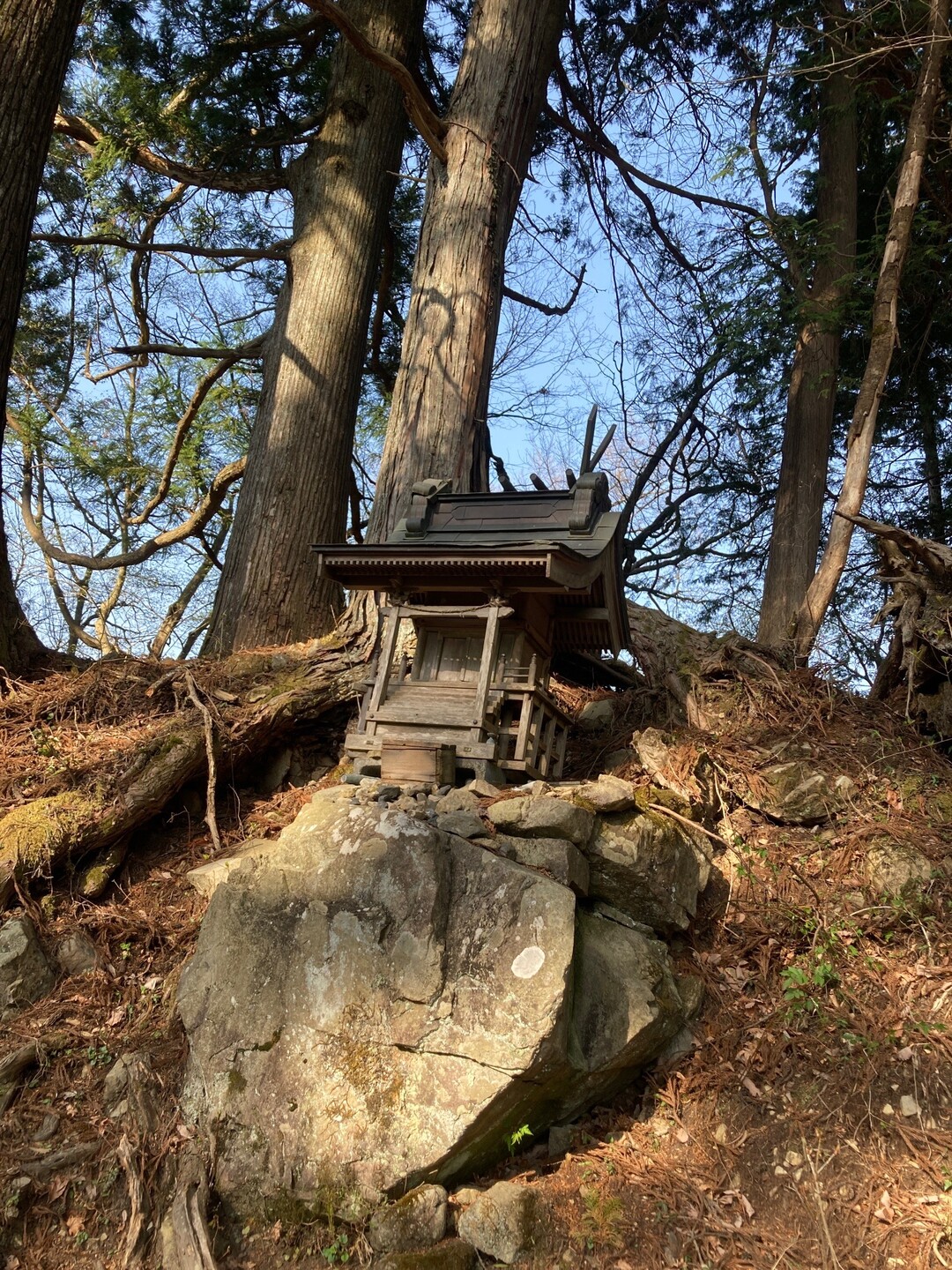 川苔山遊びへ 川苔山 川乗山 の写真37枚目 あざました Yamap ヤマップ