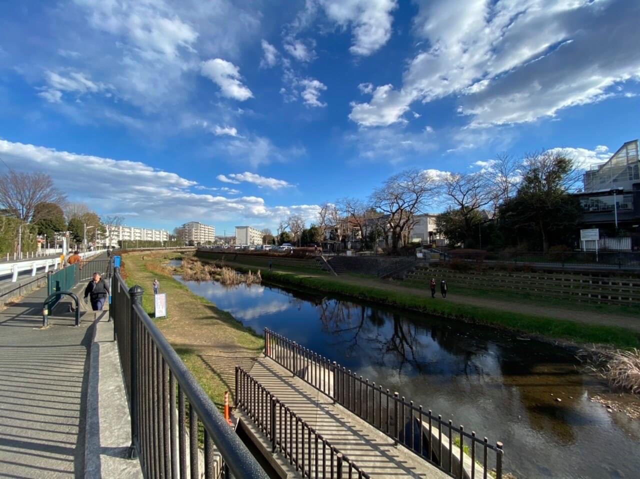 武蔵野の路 野川コース 2 2 まふぃっくさんの東京都23区 西エリアの活動データ Yamap ヤマップ