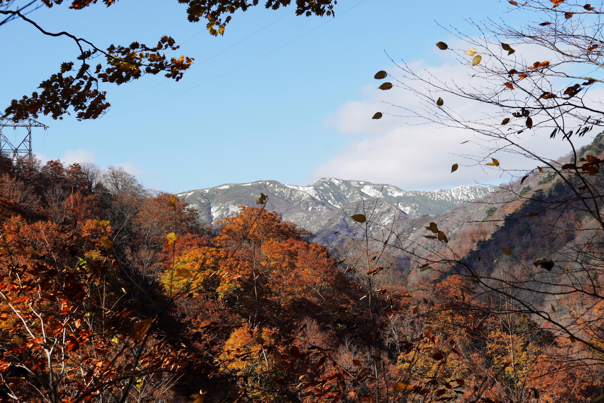 谷川岳一ノ倉沢は三段紅葉の絶景でした 11 05 Wataさんの谷川岳 七ツ小屋山 大源太山の活動日記 Yamap ヤマップ