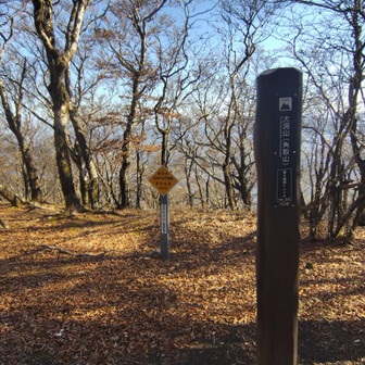 夏バッジ獲得条件は満たしたので後は