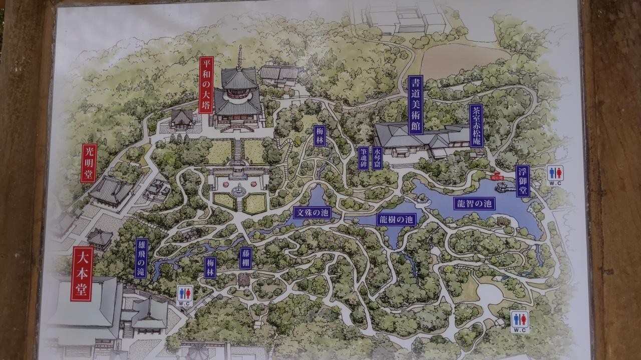 成田山と名木根川と電車道ウォーク しろぴょさんのウォーキングの活動データ Yamap ヤマップ