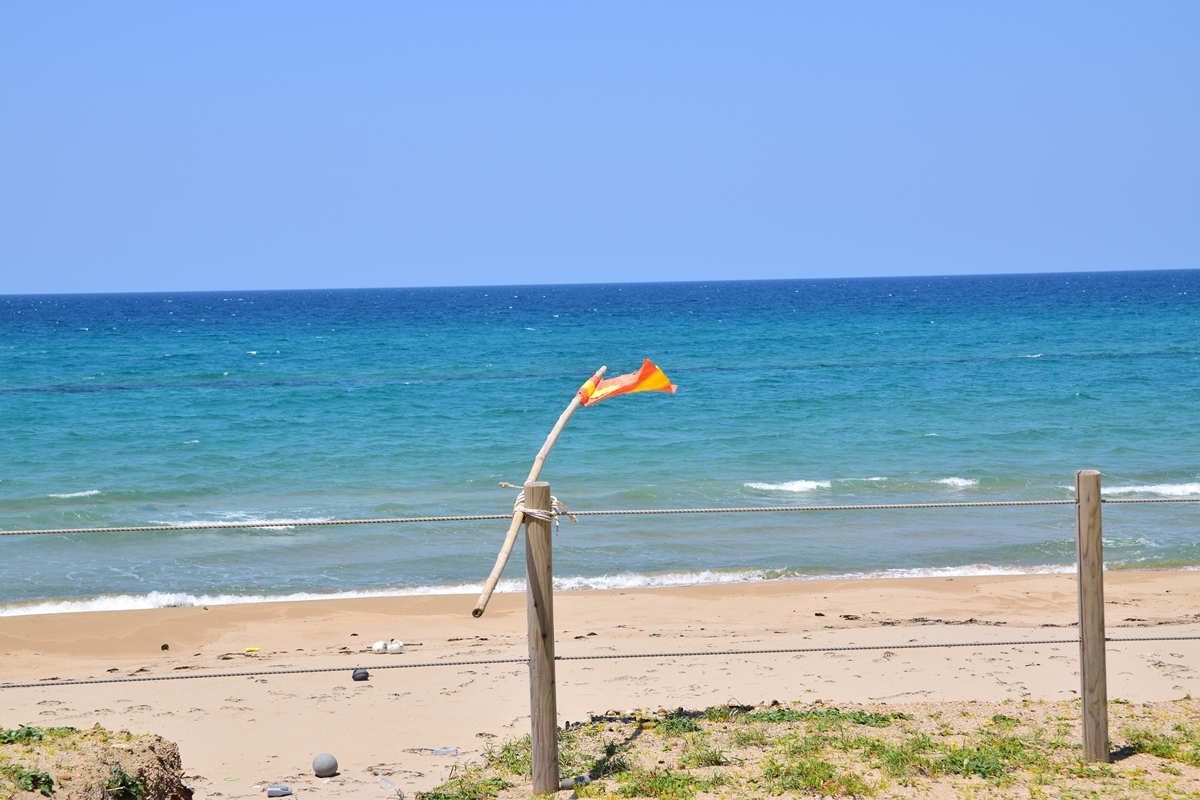 スタート地点まで戻ってきました。