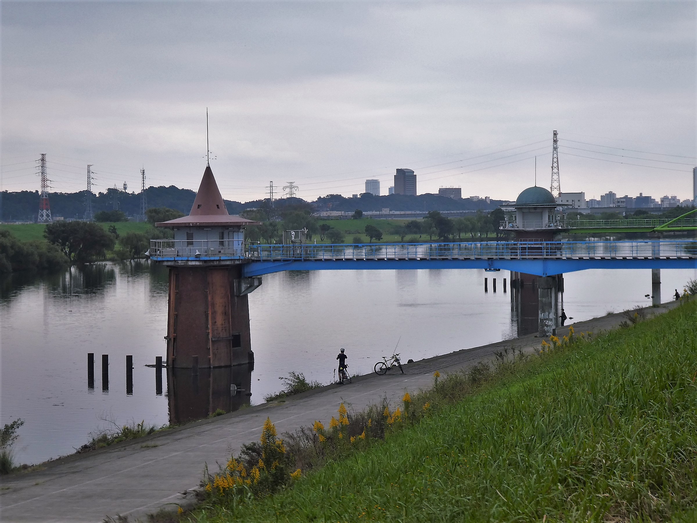 Jr駅からハイキング 金町駅 秋の江戸川 中川と神社仏閣をめぐり 昭和の風景の残る下町葛飾散歩 お散歩おばさんさんのウォーキングの活動日記 Yamap ヤマップ