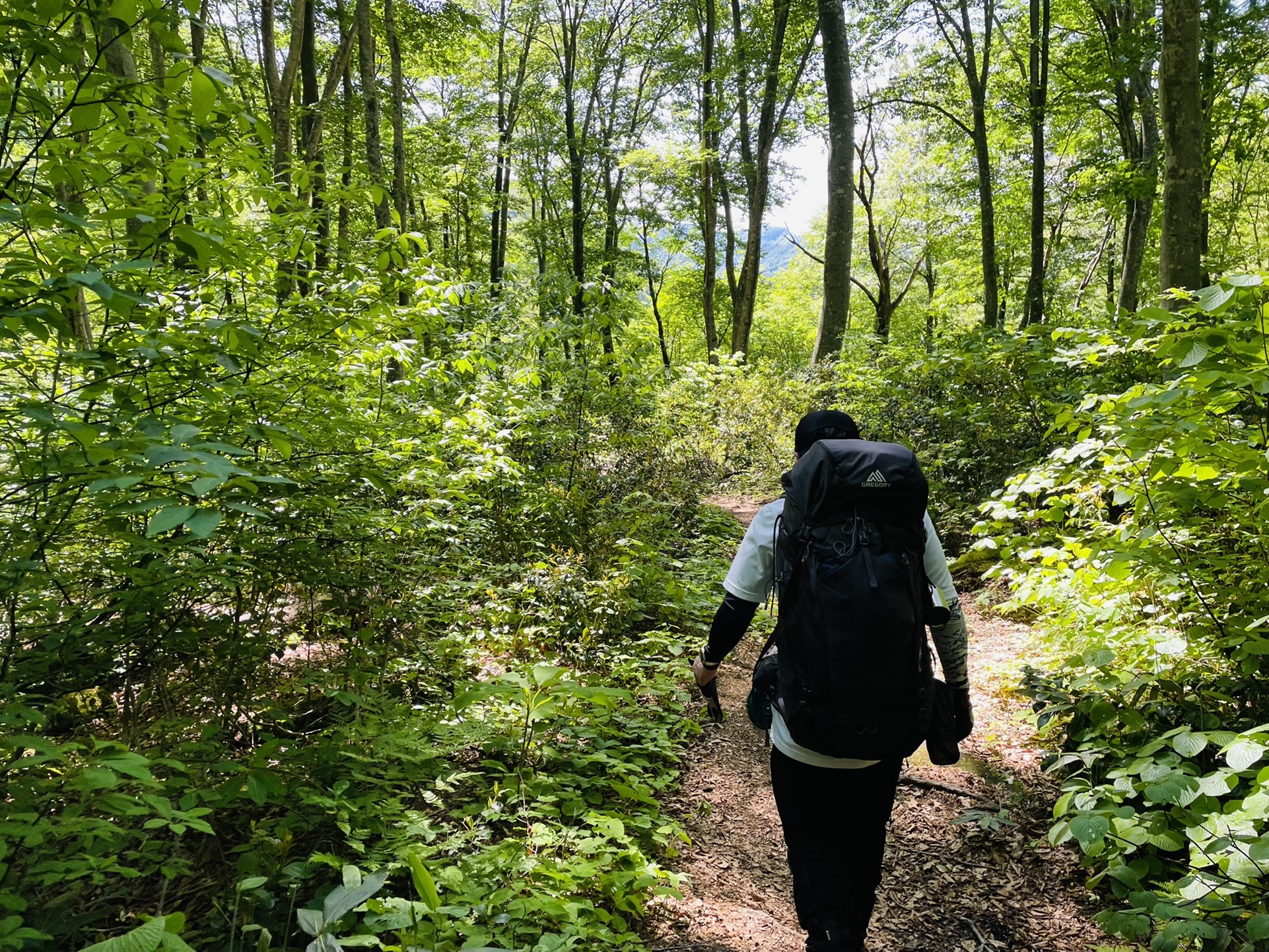 林道歩きが始まる…
足痛い…