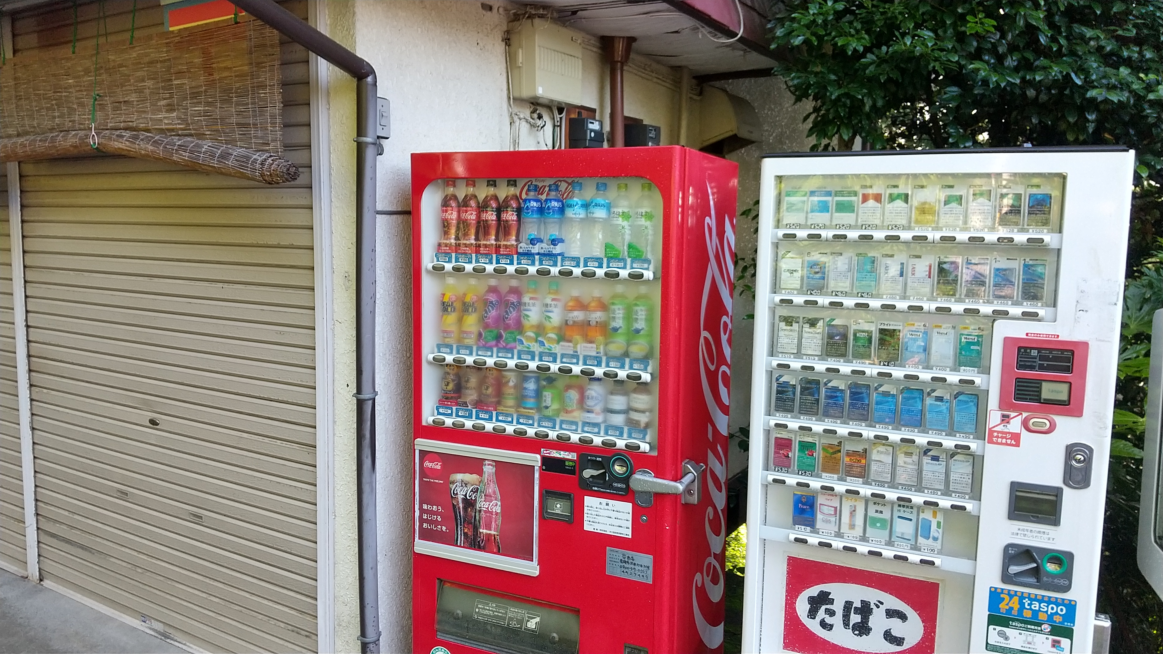 青梅丘陵ハイキング Jr軍畑駅 雷電山 辛垣山 物見山 マスガタ山 三方山 矢倉台 Jr青梅駅 Saharaさんの青梅市の活動日記 Yamap ヤマップ