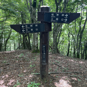 白クラの頭