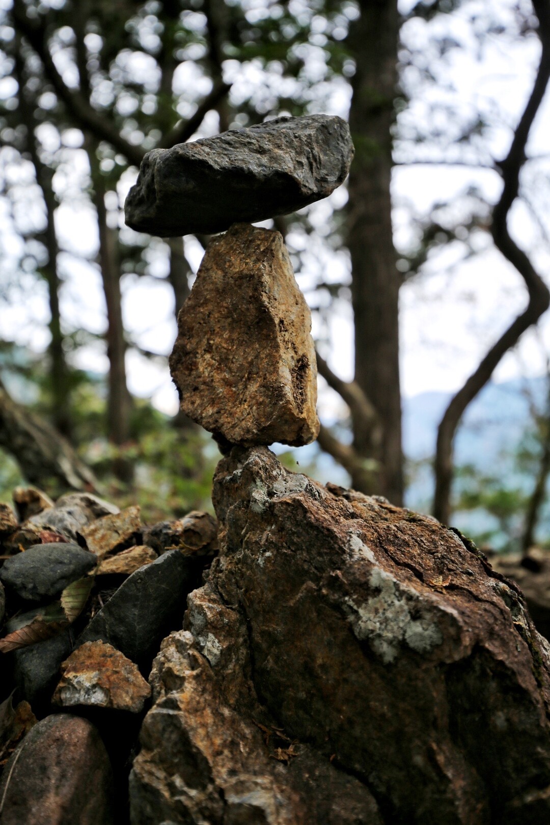 大岳山で紅葉を たいたんさんの大岳山 御岳山 御前山の活動日記 Yamap ヤマップ