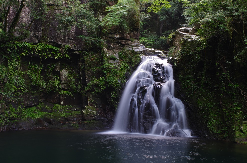赤目四十八滝 長坂山 滝と苔のセラピーロード Ida Tennさんの長坂山 赤目四十八滝の活動データ Yamap ヤマップ