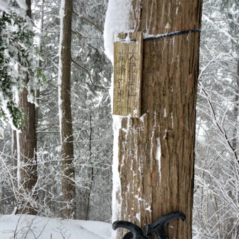 生藤山 おおぞうさとやま