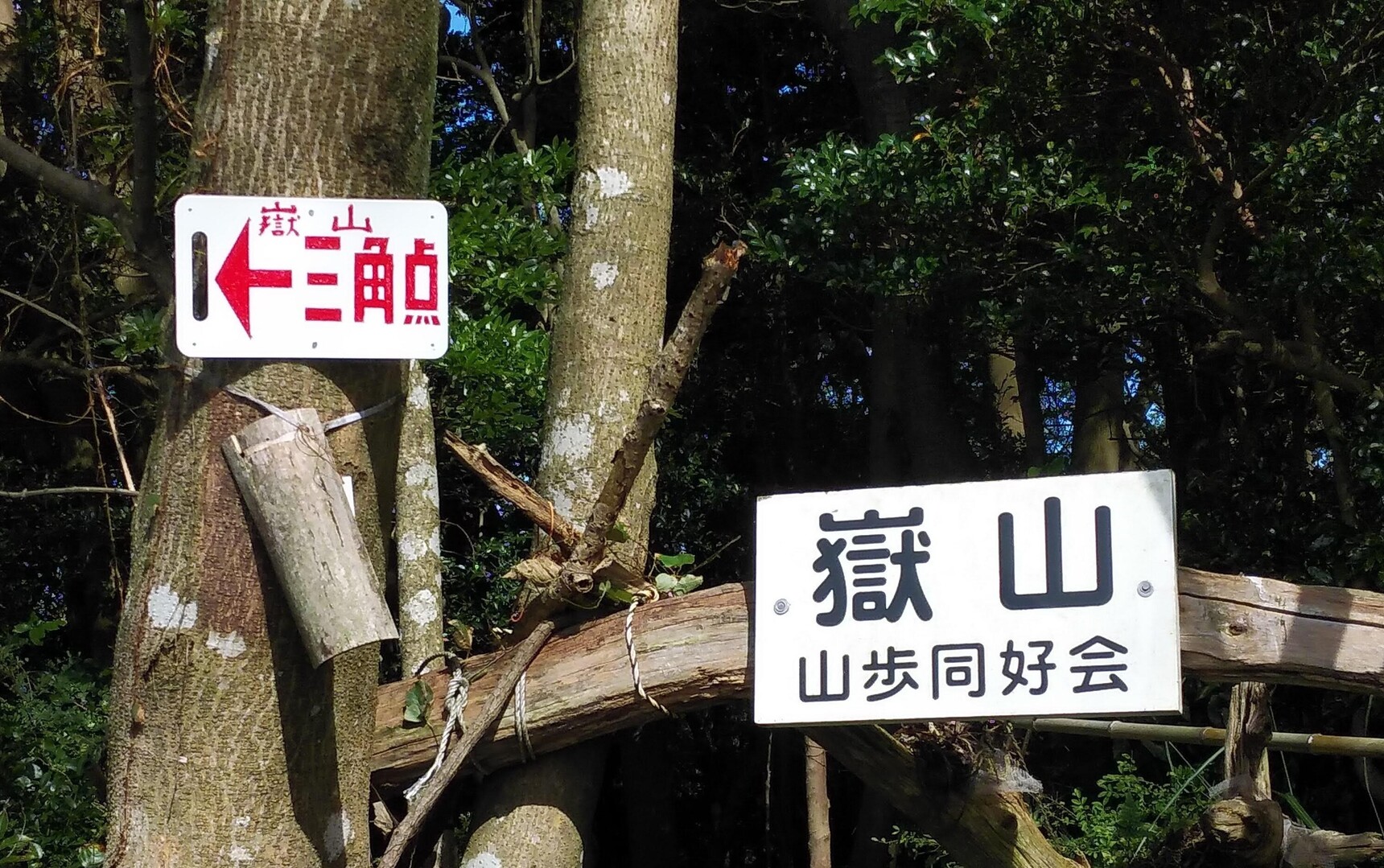 嶽山フジバカマ🌼と登山道の確認'‼️ (P 2) / あおぶんさんの嶽山・若山・四熊ヶ岳の活動データ | YAMAP / ヤマップ
