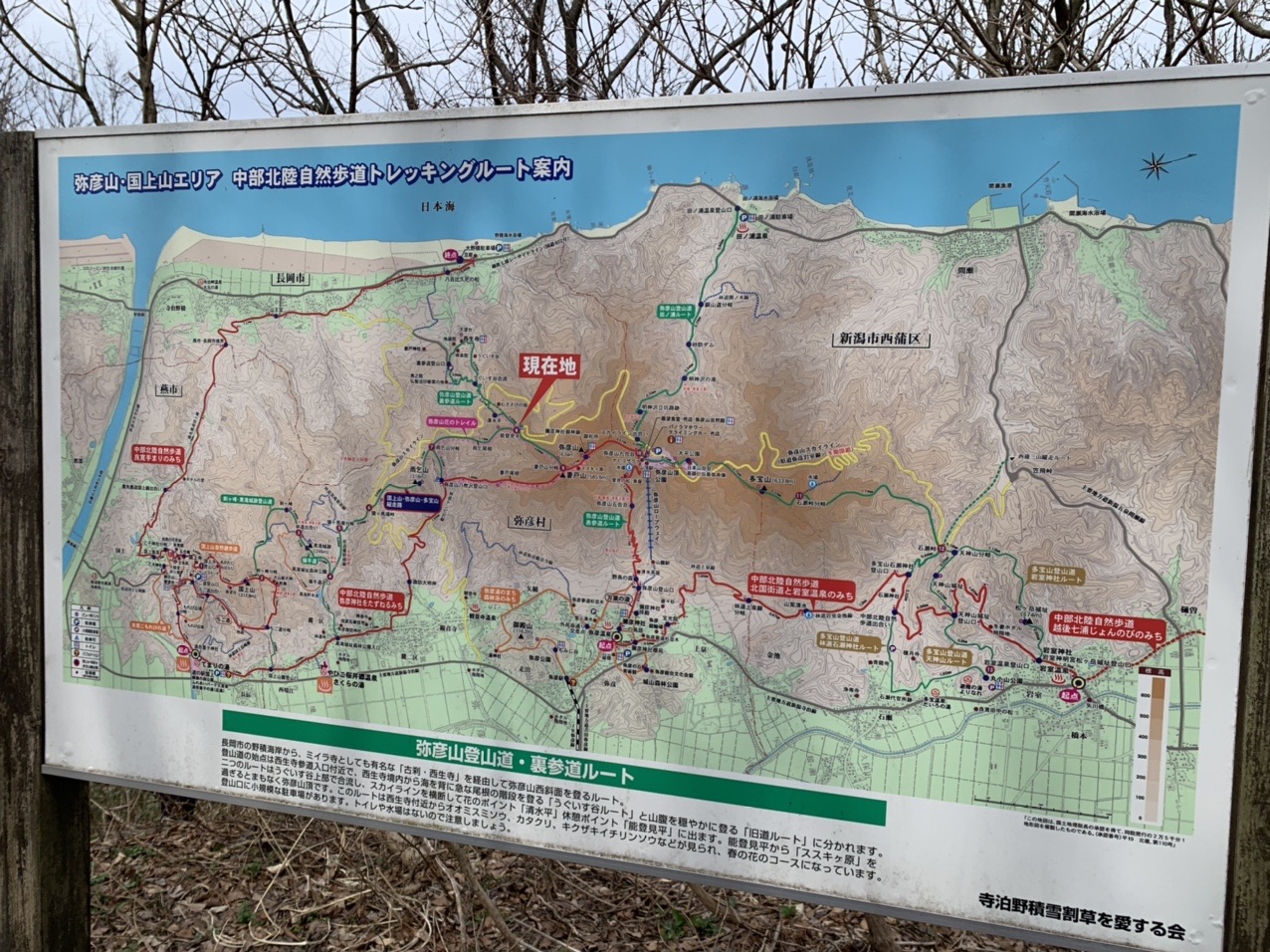 弥彦山スカイラインをランニング Jasmineさんの弥彦山 多宝山 雨乞山の活動日記 Yamap ヤマップ