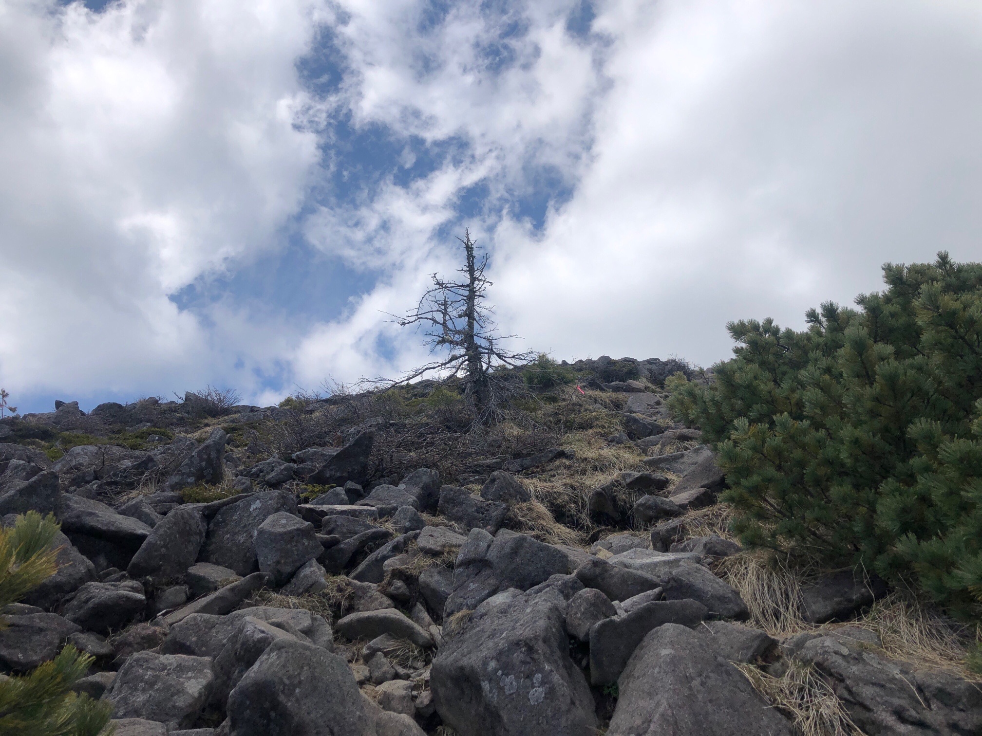 ようやく、上の視界が開けた、 さっきまで、上をみても、みても 一向に、岩しか見えなかったのに。